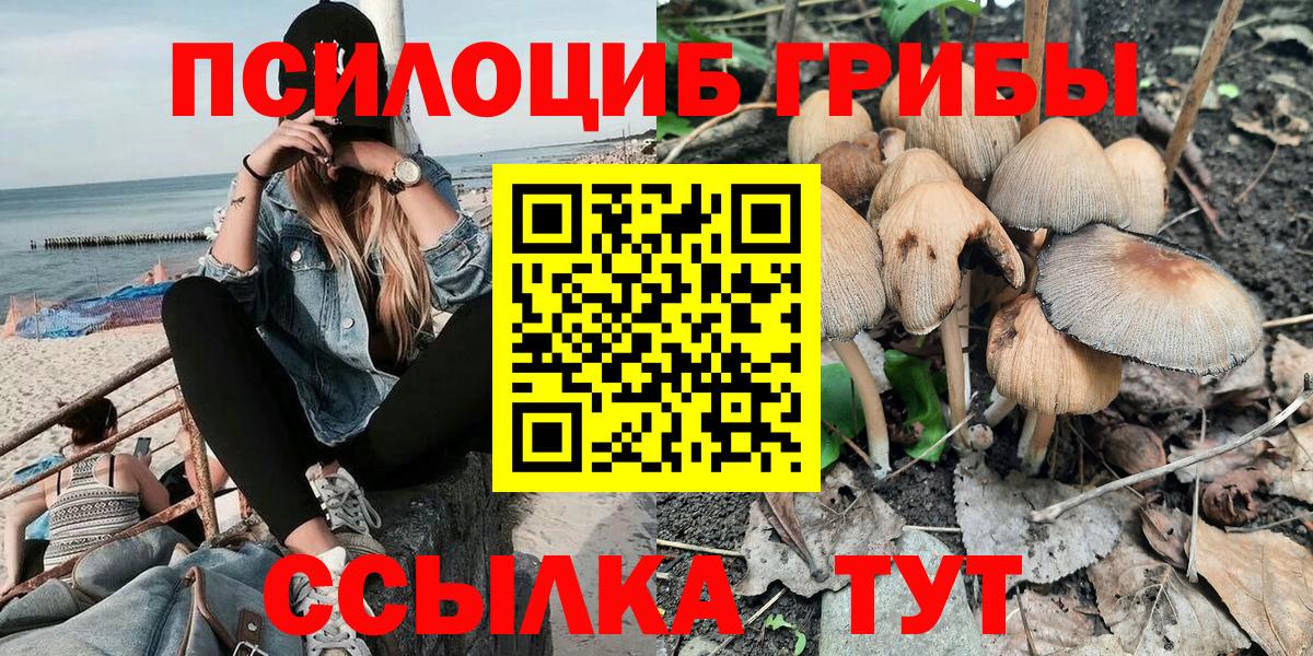 Псилоцибиновые грибы мухоморы  Вход с VPN  Томск 