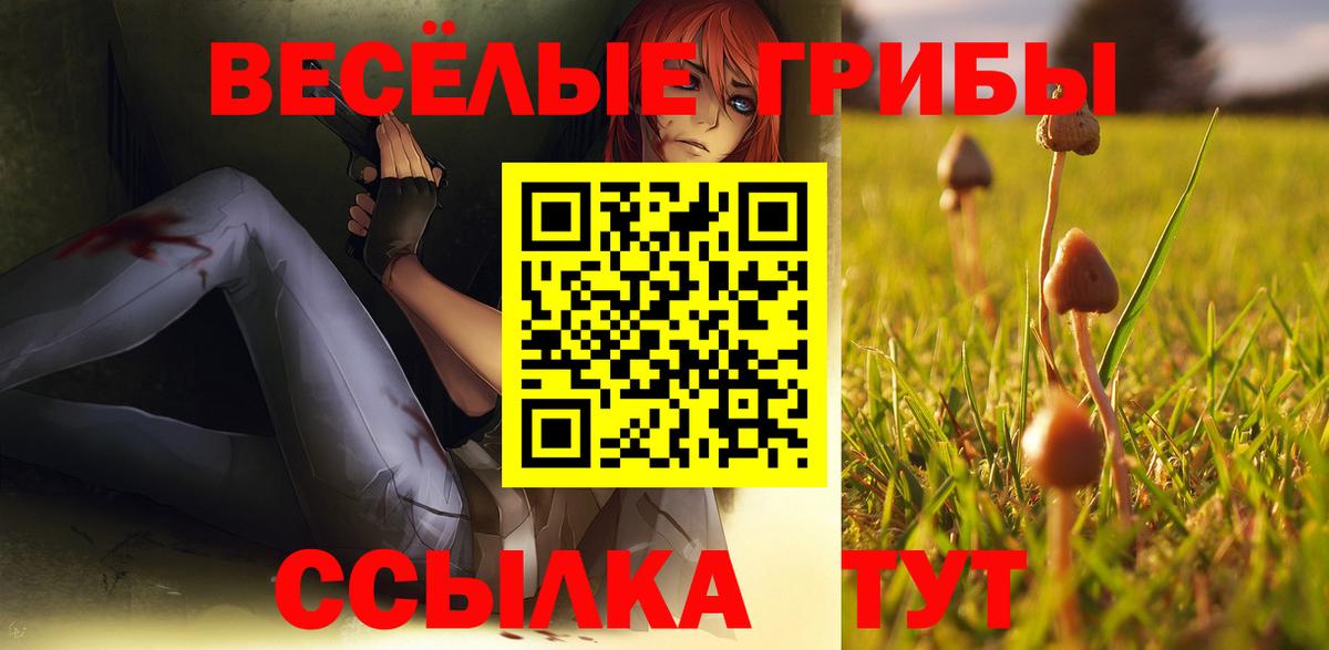 Псилоцибиновые грибы Psilocybine cubensis Томск